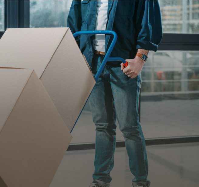 A Step-by-Step Guide to Implementing Delivery Management Software Successfully