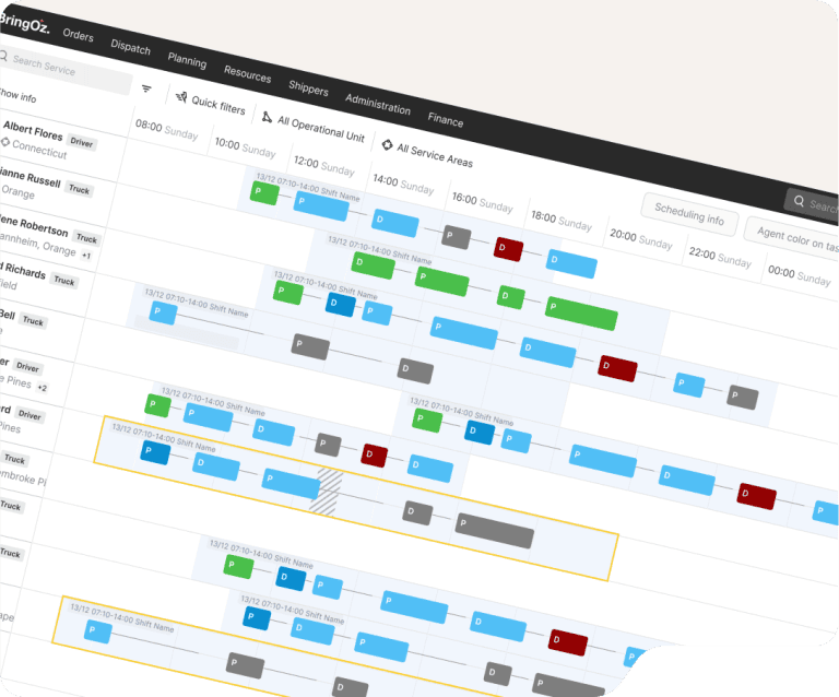 Rule-Governed Plan Validation
