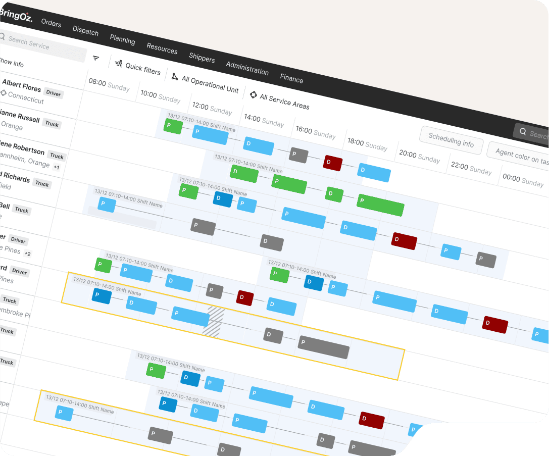 Rule-Governed Plan Validation