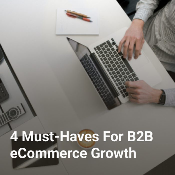 4 Must-Haves For B2B eCommerce Growth