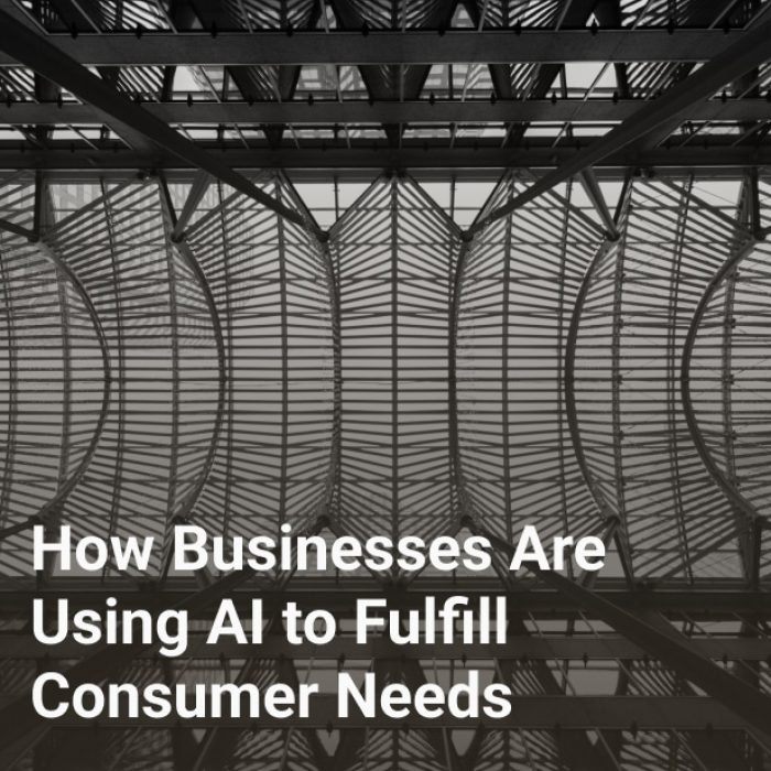 How Businesses Are Using AI to Fulfill Consumer Needs