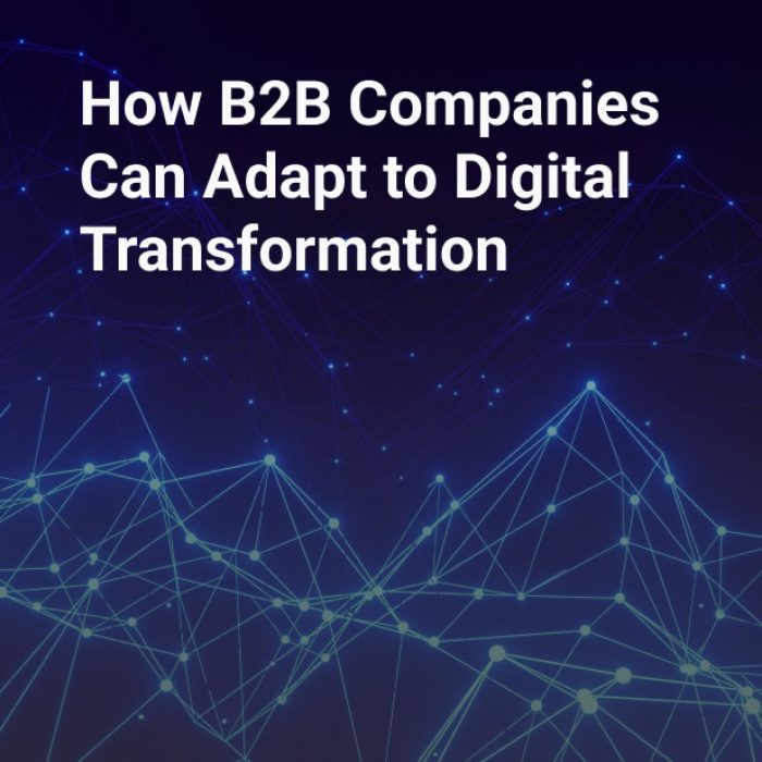 How B2B Companies Can Adapt to Digital Transformation