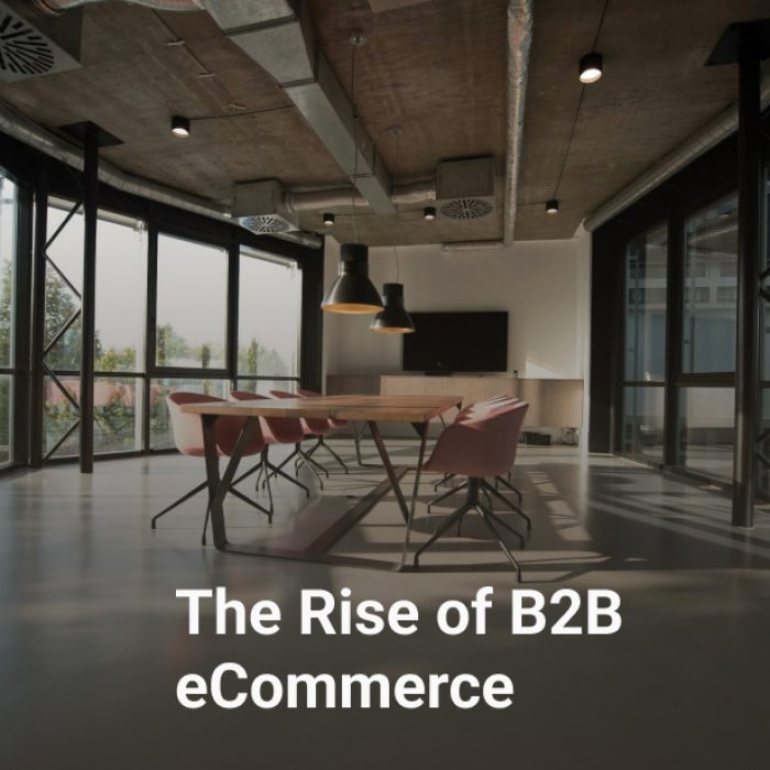 The Rise of B2B eCommerce