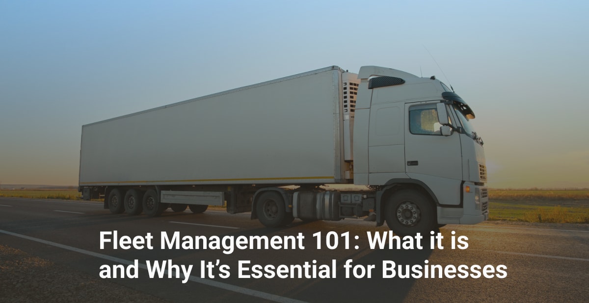 Fleet Management 101: What it is and Why It’s Essential for Businesses ...