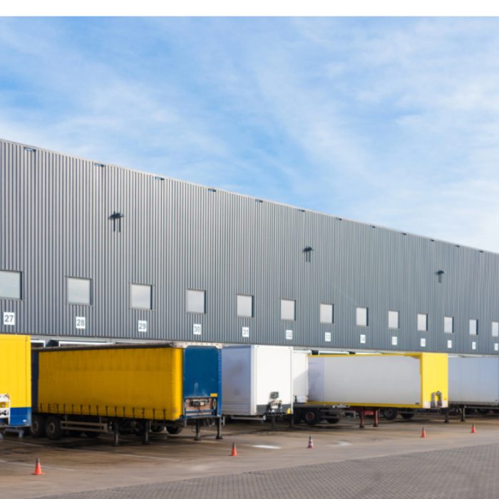 bringoz industry weekly 1228