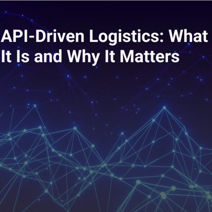 api driven logistics what it is and why it matters